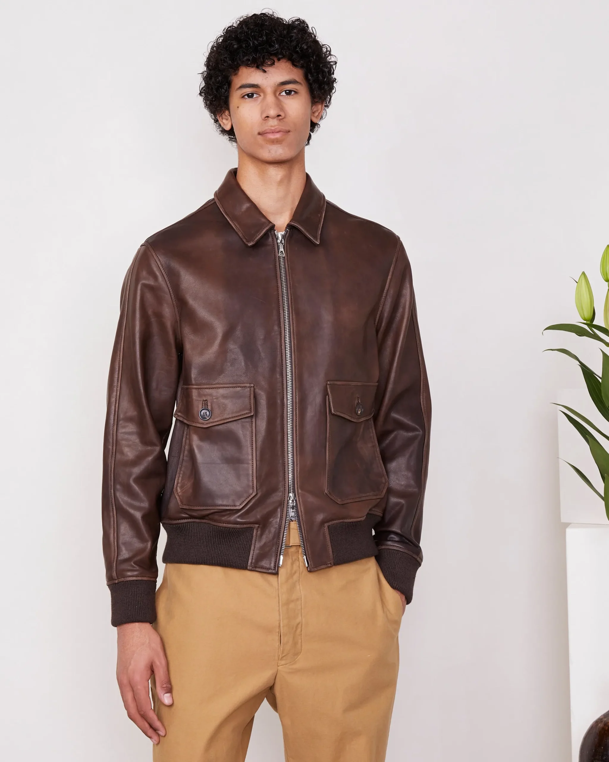 Bomber cesario